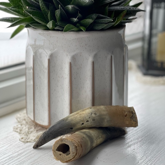 Other - Bull Horns- Real Authentic naturally three colors/decor/knife making